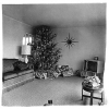 Xmas tree in a living room in Levittown, L.I. 1963 - Диана Арбус (Diane Arbus)
