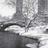 Центральный парк, Нью-Йорк, 1959 - Альфред Эйзенштедт (Alfred Eisenstaedt)