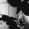 Американская актриса Типпи Хедрен в фильма Альфреда Хичкока "Птицы", 1962 - Филипп Халсман (Philippe Halsman)