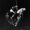 William Nicholls and William Rand of Squadron Polo Team Indoor Polo at National Guard Armory, NYC - Гьен Мили (Gjon Mili)