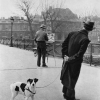 Fox terrier on the Pont des Arts, 1953 - Робер Дуано (Robert Doisneau)