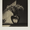 Irises, 1987 - Роберт Мэпплторп (Robert Mapplethorpe)