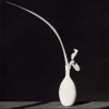 Orchid and Leaf in White Vase, 1982 - Роберт Мэпплторп (Robert Mapplethorpe)