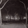 Icy Night, 1893 - Альфред Стиглиц (Alfred Stieglitz)