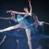 Triple Exposure of Ballerina Alicia Markova as Bluebird in the Production of The Sleeping Beauty - Гьен Мили (Gjon Mili)