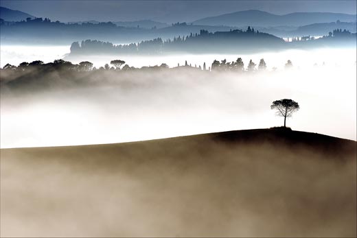 A lone tree emerges from early morning fog, Johan Ensing (Driehuis, The Netherlands), Photographed August 2007, Tuscany, Italy