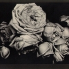 Heavy Roses, 1914 - Эдвард Стейхен (Edward Steichen)