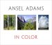 Ansel Adams in Color (Ansel Adams, Andrea G. Stillman, John P. Schaefer)